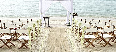 Düğün, Nişan, Sünnet, Açılış, Bayi Toplantısı, Gala Yemeği